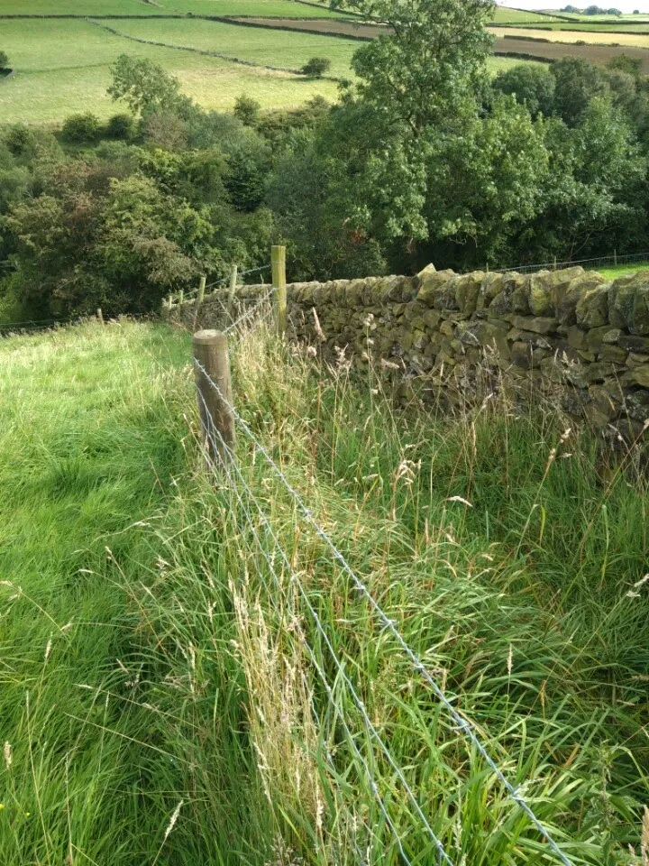 A stone wall next to a grassy field.