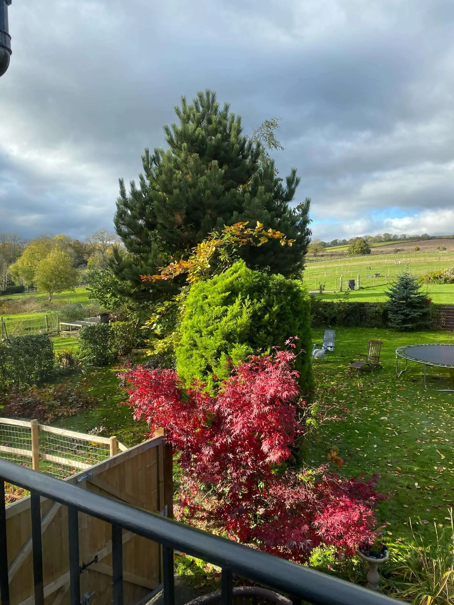 A view of a lush green field from a balcony.