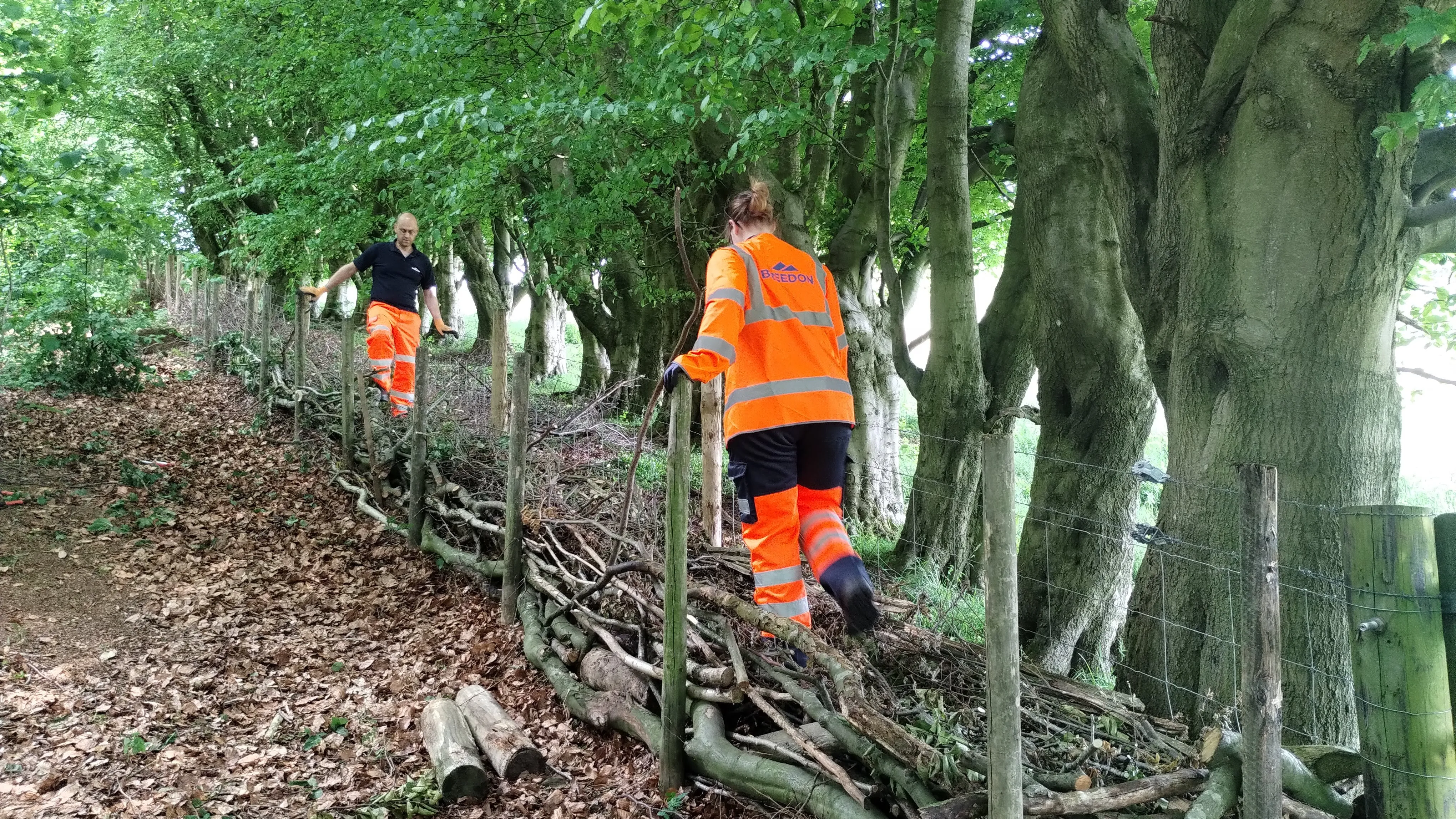 A couple of people that are standing in the woods.