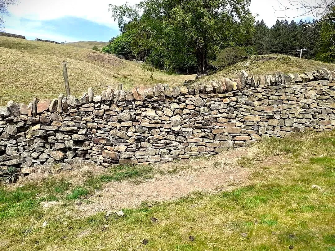 A stone wall in the middle of a field.